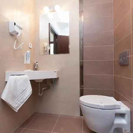 Albert Hotel 호텔 3*