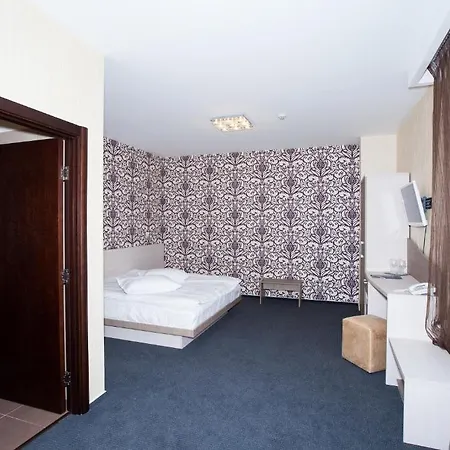 Albert Hotel 3* 플로이에슈티